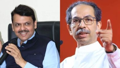 देवेंद्र फडणवीस यांचा उध्दव ठाकरे यांना पुष्पा स्टाईल इशारा…