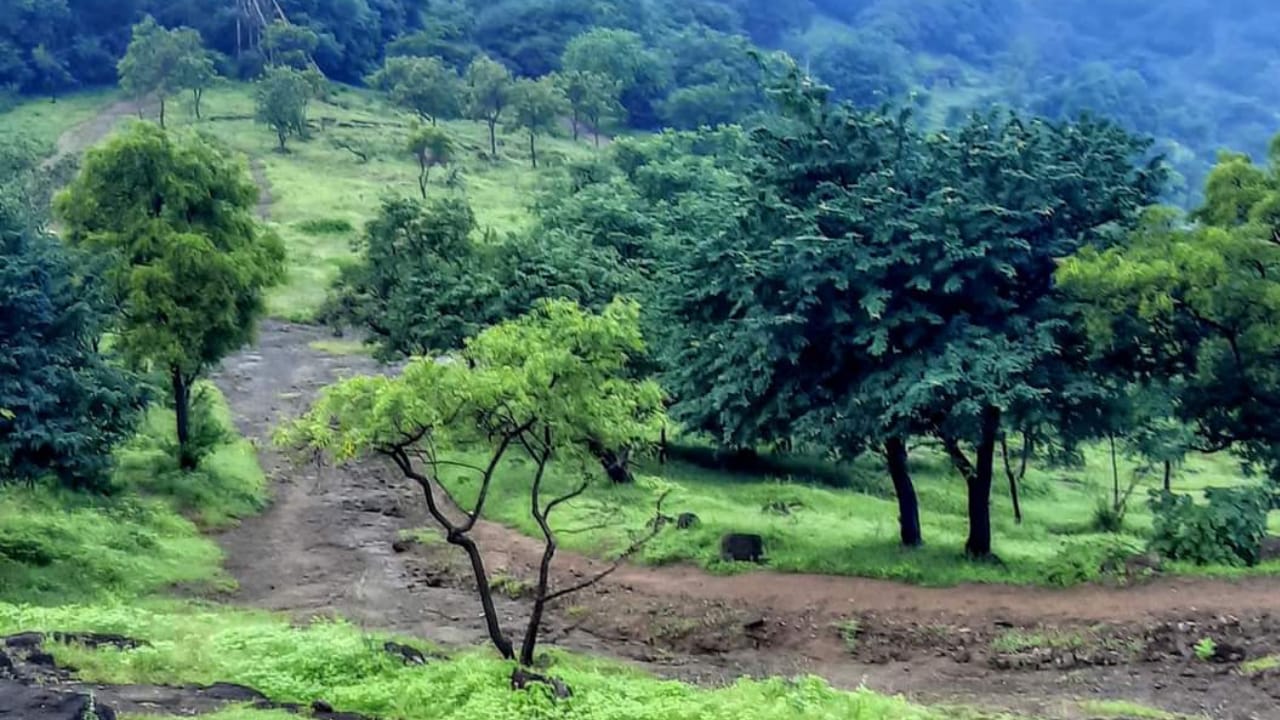 वेताळ टेकडी बचाव कृती समितीच्या जनजागृती अभियानात शिवसेना (उद्धव बाळासाहेब ठाकरे) सहभागी होणार ; पृथ्वीराज सुतार