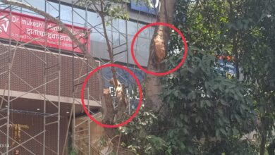 कर्वे रस्त्यावरील दुकानांसमोरील वृक्ष छाटणी मागे अर्थकारण, राजकारण आणि बरेच काही? अधिकाऱ्यांची भूमिका संशयाच्या भोवऱ्यात