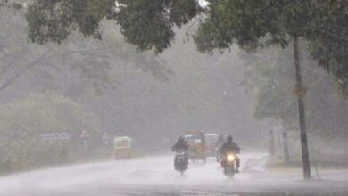 आठवडाभरात मान्सूनचं केरळात आगमन, तर त्यापूर्वी राज्यभरात अवकाळीचा इशारा