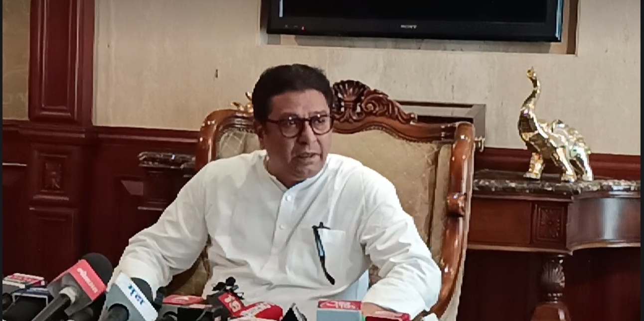 नोटबंदीसारखे निर्णय देशाला परवडणारे नसतात : राज ठाकरे