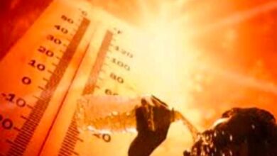 पुण्यात पुढील चार- पाच दिवस उष्णतेची लाट सदृष्य परिस्थिती; हवामान विभागाची माहिती, काळजी घेण्याचे नागरिकांना आवाहन