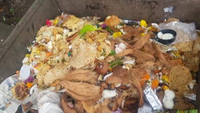 देवतांना नैवेद्य स्वरूपात दाखवले जाणारे अन्न जात आहे मोठ्या प्रमाणात वाया ; चेतन भालेकर यांचे नागरिकांना महत्वाचे आवाहन