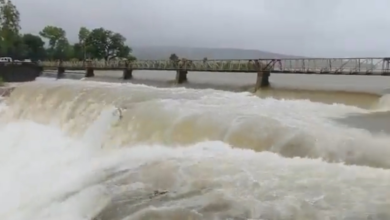 राधानगरी धरणाचे पाच दरवाजे उघडले ; अंदाजे 15 तासात पाणी कोल्हापूरात येण्याची शक्यता