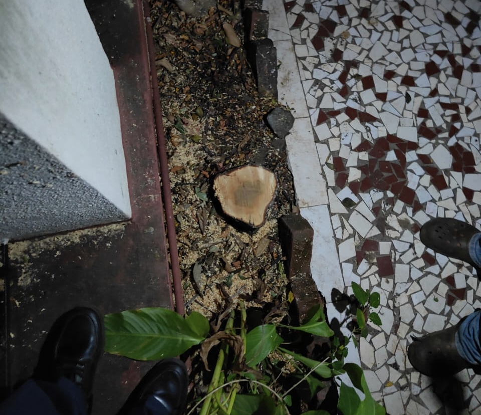 कोथरूडमधील महात्मा सोसायटीत खिडक्यांवर दगडफेक,5 ते 6 नागरिक जखमी; दहशत निर्माण करीत चंदन वृक्षाची चोरी,मंत्री चंद्रकांत पाटील यांच्या घराजवळील गंभीर घटना