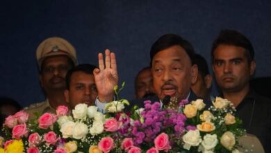 मनोज जरांगे पाटील यांनी अभ्यास करावा, ते अजून लहान : नारायण राणे