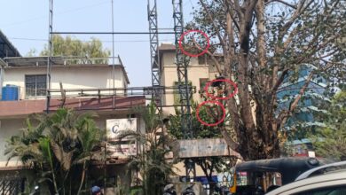 कोथरूडमध्ये होर्डींगसाठी वृक्षतोड ; अधिकाऱ्यांचे जाणीवपूर्वक दुर्लक्ष.. वृक्ष अधिकारी केदार वझे कधी कारवाई करणार?