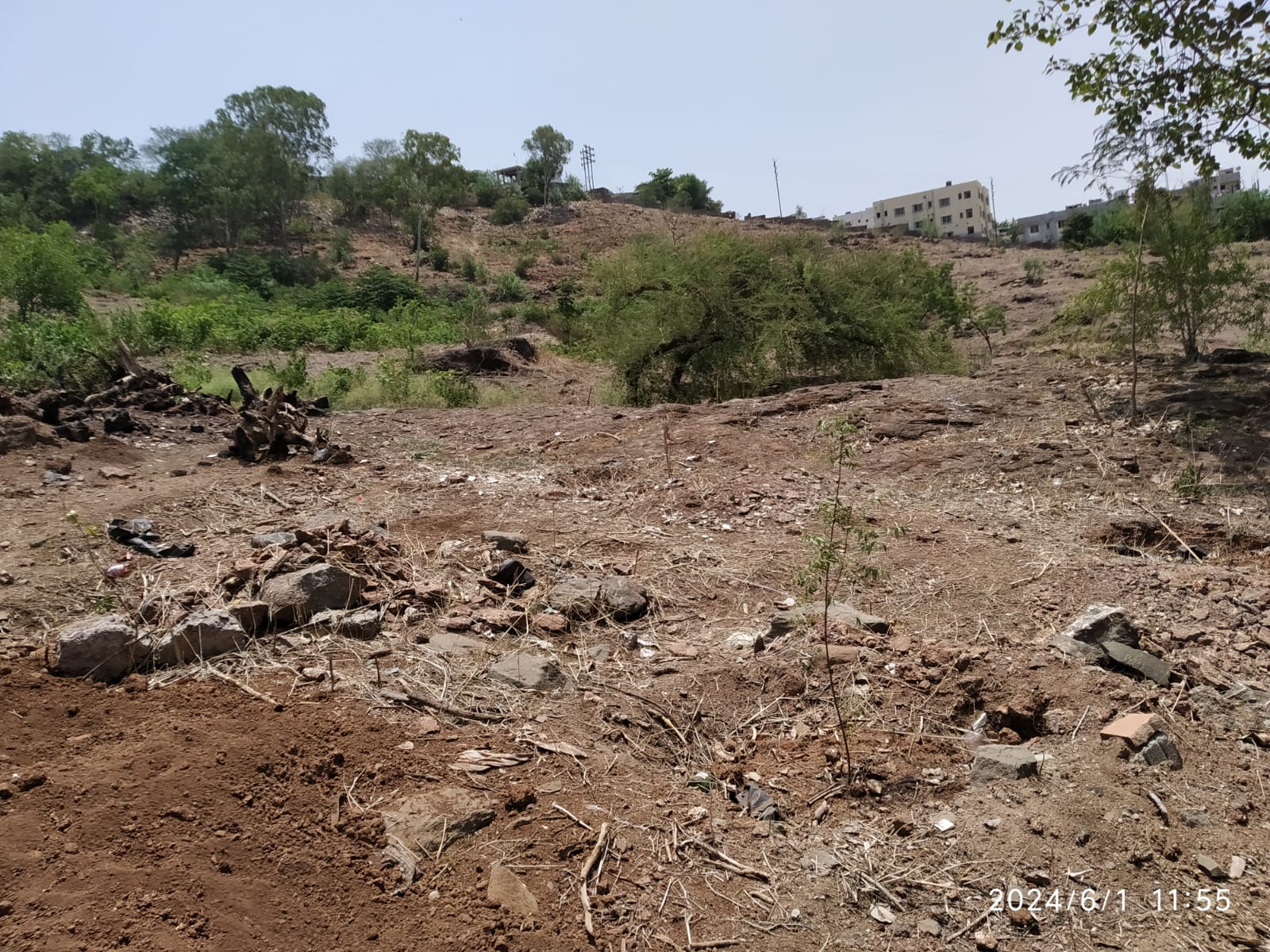 वारजेतील संजीवन वन उद्यानातील कामाकडे वन विभागाचे दुर्लक्ष ; दिपाली धुमाळ यांचा आंदोलनाचा इशारा
