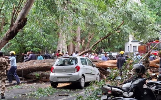 कोथरूडमध्ये दोन चारचाकी वाहनांवर भले मोठे झाड कोसळले..