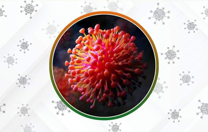 गुजरातमध्ये ‘चांदीपुरा व्हायरस’ची दहशत; 15 जणांचा मृत्यू, 27 रूग्ण, जाणून घ्या लक्षणे व उपाय