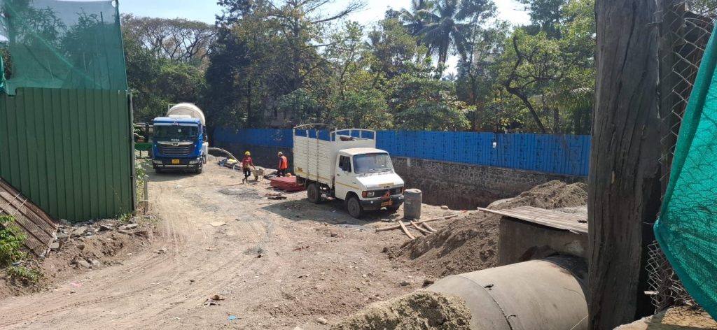 Img 20250129 wa01143937581094524579781