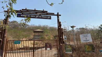 वन उद्यानाचा वीज पुरवठा सुरळीत – माजी नगरसेवक दिलीप वेडेपाटील यांच्या पुढाकाराने प्रशासनाचा गलथान कारभार उघड
