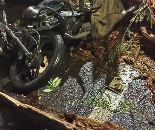 कर्वेनगर मध्ये झाडाची फांदी अंगावर पडल्याने दुचाकीस्वाराचा मृत्यू