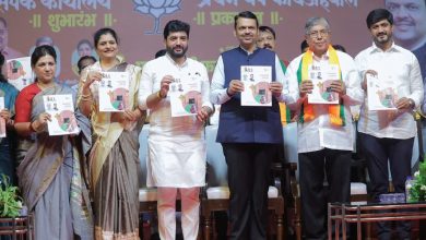 मुरलीधर मोहोळ यांचा एक वर्षांच्या कामाचा अहवाल म्हणजे फक्त ट्रेलर आहे. पिक्चर अजून बाकी – देवेंद्र फडणवीस 