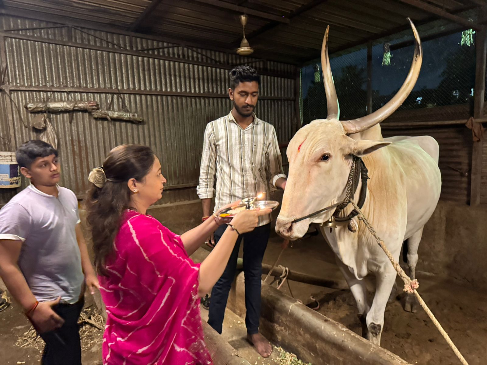 बाणेर मधील विधाते कुटुंबाने जपली परंपरा आणि ग्रामसंस्कृती, उत्साहात साजरा केला बैलपोळा बाणेर मधील विधाते कुटुंबाने जपली परंपरा आणि ग्रामसंस्कृती, उत्साहात साजरा केला बैलपोळा