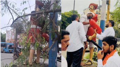कर्वेनगरमध्ये दुभाजकावर बसवलेल्या  मावळ्याच्या पुतळ्याचे झाड पडल्याने नुकसान..