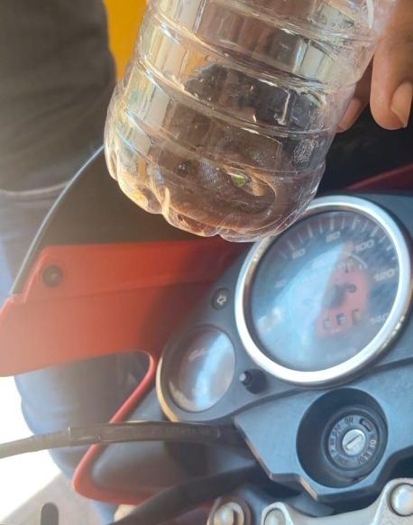 Image editor output image 370205162 1757932966522231584534134124479