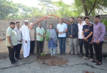 समतेबरोबर पर्यावरण संवर्धनाचा विचार मांडणाऱ्या थोर समाज सुधारकांना जयंतीनिमित्त वृक्षारोपणातून अभिवादन!