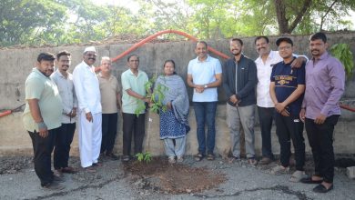 समतेबरोबर पर्यावरण संवर्धनाचा विचार मांडणाऱ्या थोर समाज सुधारकांना जयंतीनिमित्त वृक्षारोपणातून अभिवादन ! समतेबरोबर पर्यावरण संवर्धनाचा विचार मांडणाऱ्या थोर समाज सुधारकांना जयंतीनिमित्त वृक्षारोपणातून अभिवादन!