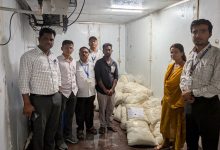 पुणे विभागात अन्न व औषध प्रशासनाची धडक कारवाई; १३ लाखांचा मुद्देमाल जप्त