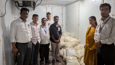 पुणे विभागात अन्न व औषध प्रशासनाची धडक कारवाई; १३ लाखांचा मुद्देमाल जप्त