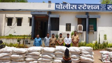 अन्न औषध प्रशासनाच्या राज्यभर 195 ठिकाणी धाडी ; 192 व्यक्तींना अटक