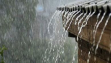 पाऊसाचा जोर पुन्हा वाढणार 13 ऑगस्ट पासून मुसळधार पावसाचा अंदाज…