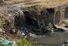 खडकवासला धरणातील दूषित सांडपाण्याचा थेट परिणाम पुणेकरांच्या पिण्याच्या पाण्यावर; नगरसेवक अमोल बालवडकर यांची प्रशासनाला तातडीची मागणी